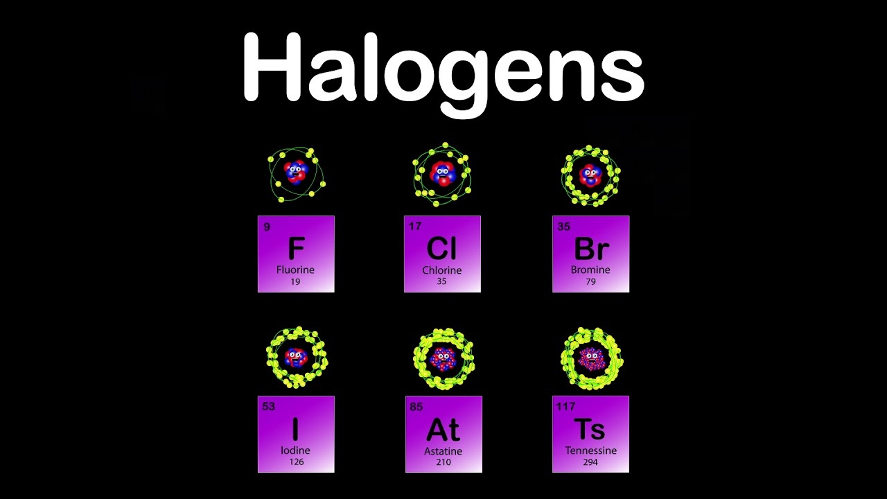 Halogens Song Periodic Table